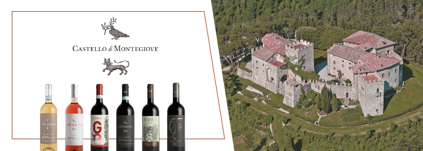 degustazione vino roma - devino - degustazione vini cantina castello di montegiove